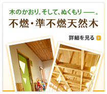 なぜ燃えないのか 不燃木材 防燃水のパイオニア 不燃天然木で実現する本物の建築物を提供する アドコスミック株式会社