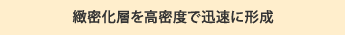緻密化層を高密度で迅速に形成